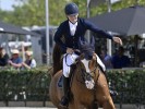 De Zadelkamer - interview met Vic De Plecker