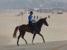 De Zadelkamer: maak kennis met endurance aan zee
