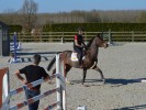 De Zadelkamer - Vlaamse springtalenten op stage