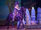 De Zadelkamer - van dressuurpiste naar Cavalluna-shows: het verhaal van Minoek van Serveen