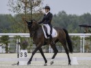 De Zadelkamer - Fletcha van 't Verahof, het meest verdienstelijke Belgische crosspaard met pensioen