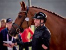 Hoe blikt Kevin van Ham terug op de Paralympics?
