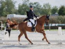 De Zadelkamer - interview met Seppe Vilain