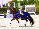 BK dressuur: Vijfde gouden medaille voor Talent Jette De Jong