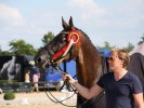 Paardensport Vlaanderen zendt zijn zonen uit