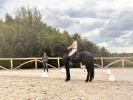 Dressuuramazone Flore De Winne, debutante op het EK