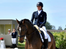 Meet the team: Jil Montauban, verantwoordelijke dressuur