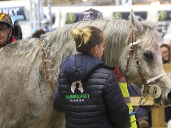 Endurance: Nieuws uit de commissie