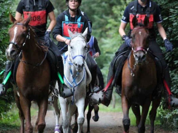 Endurance: een geslaagde 5de editie van de Meerdaal-endurance