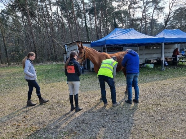 Endurance: Info sessie (kandidaat)officials en organisatoren