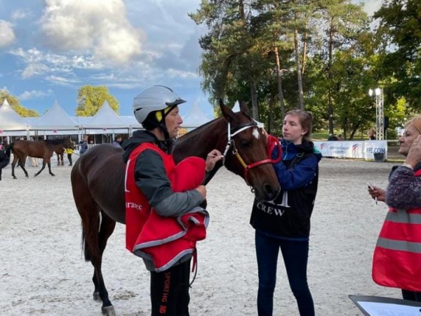 Endurance: Seizoensafsluiter voor de Vlaamse CEI ruiters te Fontainebleau