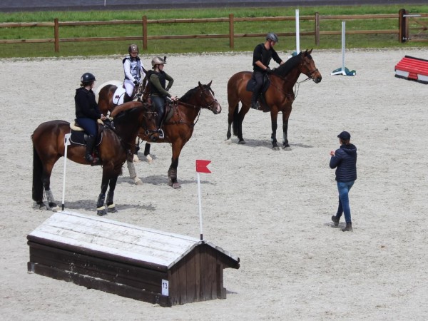 Eventing: Schrijf je in voor de Start to Cross training met Rik Geirnaert, Lisa Sabbe & Lieve Van Vliet!