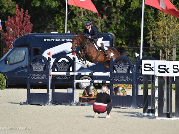 Jumping: De STX Cyclus jonge paarden 2022 kondigt zich aan!