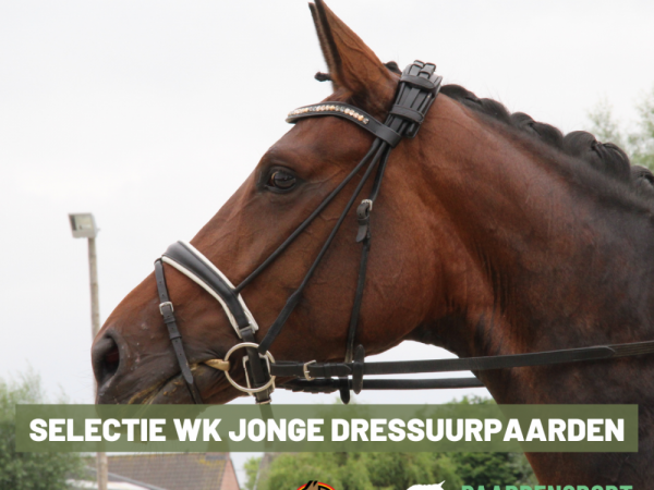 Dressuur: NMER behalen voor selectie WK Jonge Paarden