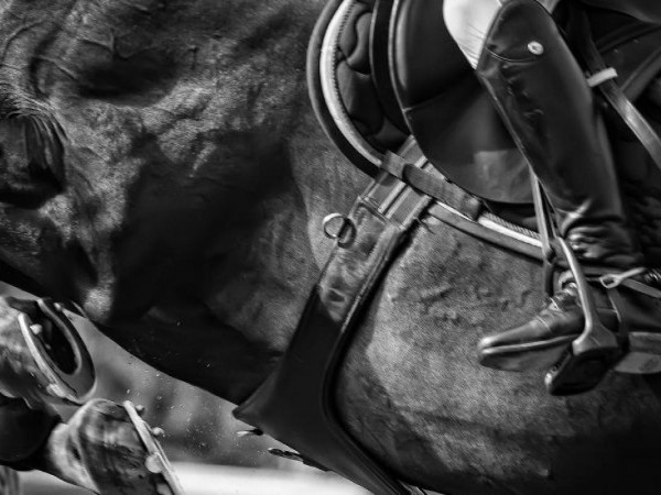 Jumping: Nieuw Vlaams Jumping Reglement