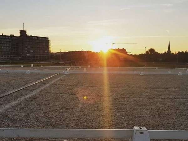 Eventing: Aangepaste proeven voor 90 cm vanaf 1 juli