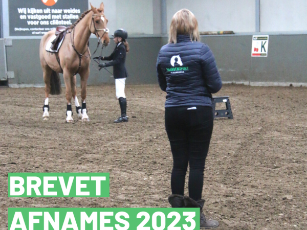 Clubs: Vergeet zeker je brevetafname niet aan te vragen