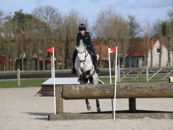 Rozetten: Klaar voor Rozet 6 Eventing?