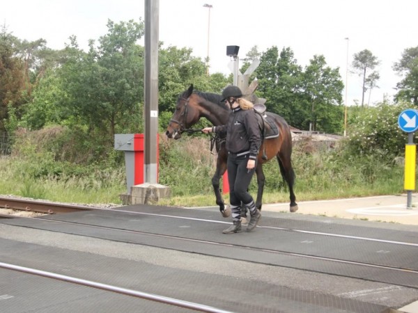 Algemeen:  Ruiters, wees voorzichtig aan elke overweg en stijg af