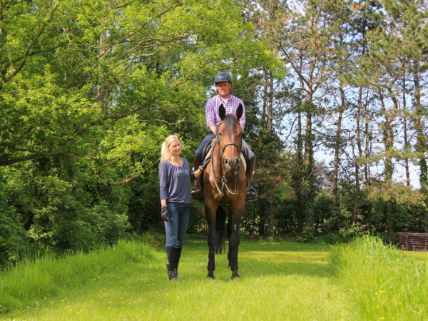 Jumping: Loheky- Wim Vinckx Stables: deelnemen met 32 paarden aan de STX Cyclus jonge paarden