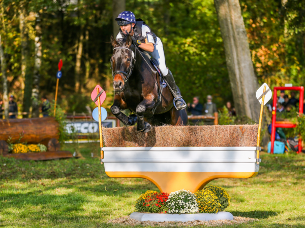 Eventing: Selectiedagen Jonge Paarden richting WK Le Lion d'Angers