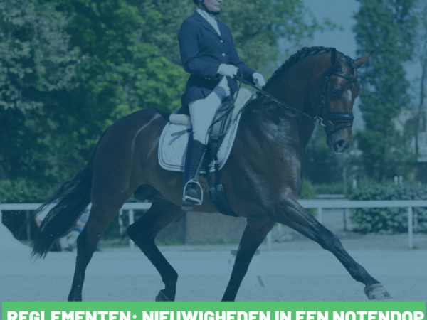 Dressuur: reglementen 2022 - aanpassingen en aandachtspunten in een notendop