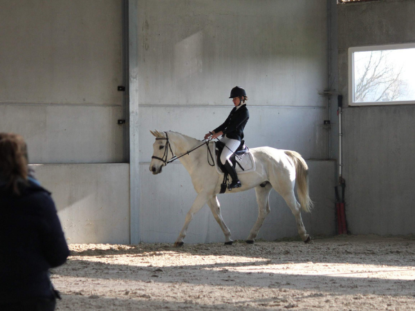 Vacature: Paardensport Vlaanderen zkt examinatoren ruiterbrevetten
