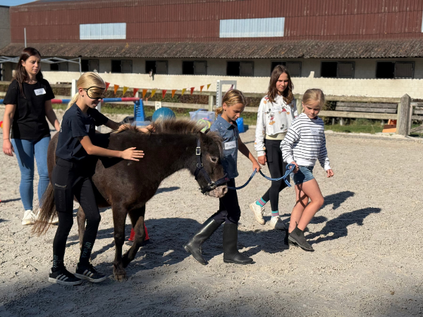 Clubs: Workshop ‘mentale gezondheid’ in jouw club