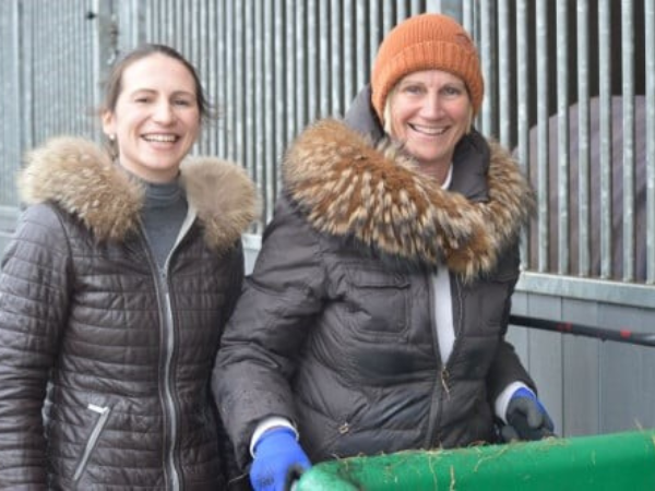 Belgian Breeder's Bonus: Familie Bruggeman bovenaan in ranking ‘Belgian Breeders Bonus’