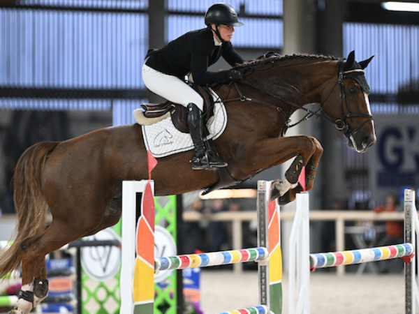 Jumping: Replay van ’t Paradijs en Qannando zijn de sterren van de dag in Zellik tijdens de Lannoo Belgian Stallion Competition powered by EuroHorse