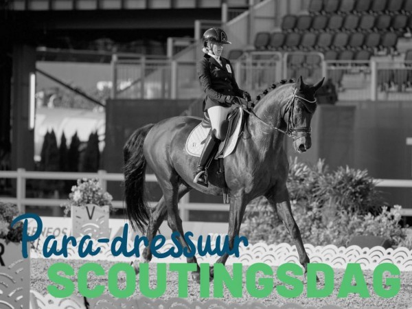 Para-dressuur: Scoutingsdag 8 oktober 2023