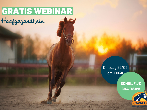 Algemeen: Gratis webinar rond Hoefgezondheid ism Cavalor
