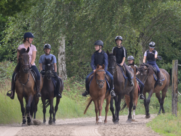Zet jouw paardenactiviteit mee op de kaart tijdens het Lotto Jaar van het Paard