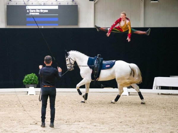 Voltige: Opnieuw sterke prestaties van de Belgische voltigeurs tijdens CVI Ermelo en CVI Lier