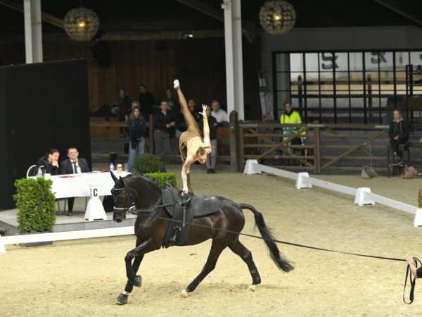 Voltige: Mooie resultaten van onze Belgische voltigeurs op CHIO Aachen