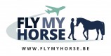 Fly my horse