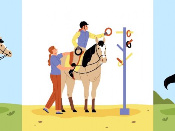 Vacature/sportkampen: Paardensport Vlaanderen zoekt lesgevers voor sportkampen