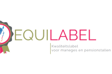 Clubs: Dertien clubs pronken met het Equilabel!