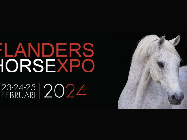 Promo: Voordeelactie: Ga met je club naar Flanders Horse Expo