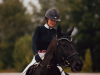 Algemeen: Paardensport Vlaanderen gesloten tijdens Hemelvaartweekend